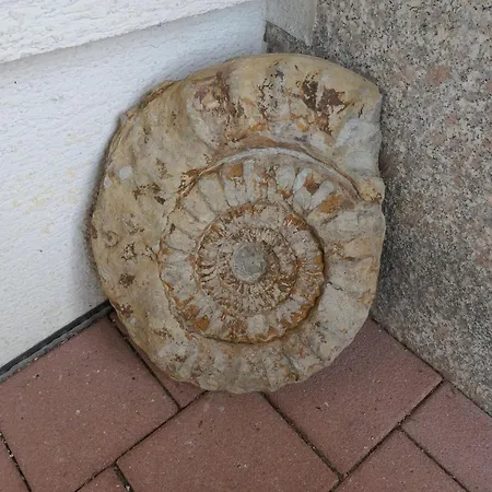 شقة Schneckenhaus